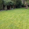 Grass Cutting